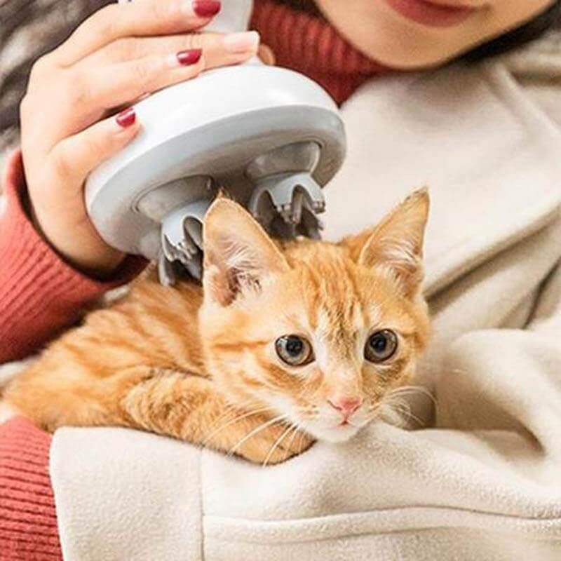 Elektrische Kattenkop Massager - Image 3