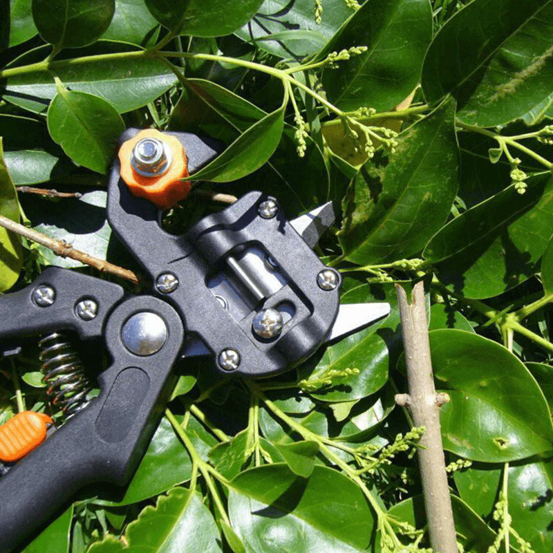 Tuin Enting Tool - Image 7