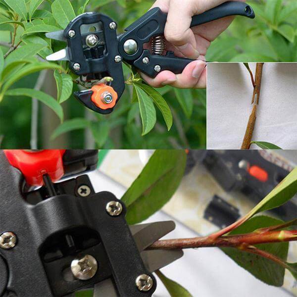 Tuin Enting Tool - Image 8