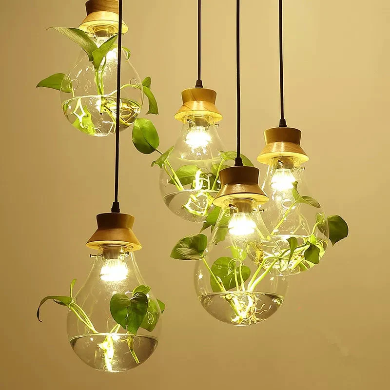 Hangerlamp voor Planten met Glazen Bol - Image 2