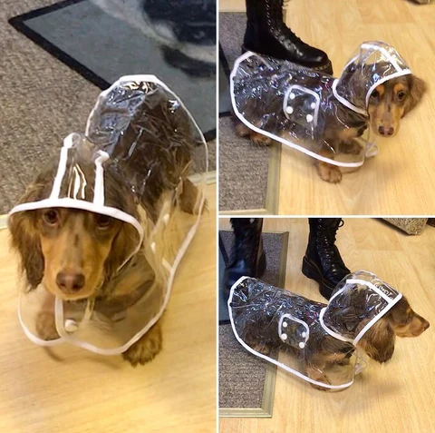 Hond Waterdichte Transparante Regenjas - Image 10