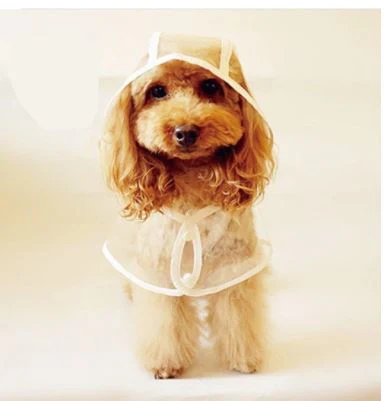 Hond Waterdichte Transparante Regenjas - Image 5