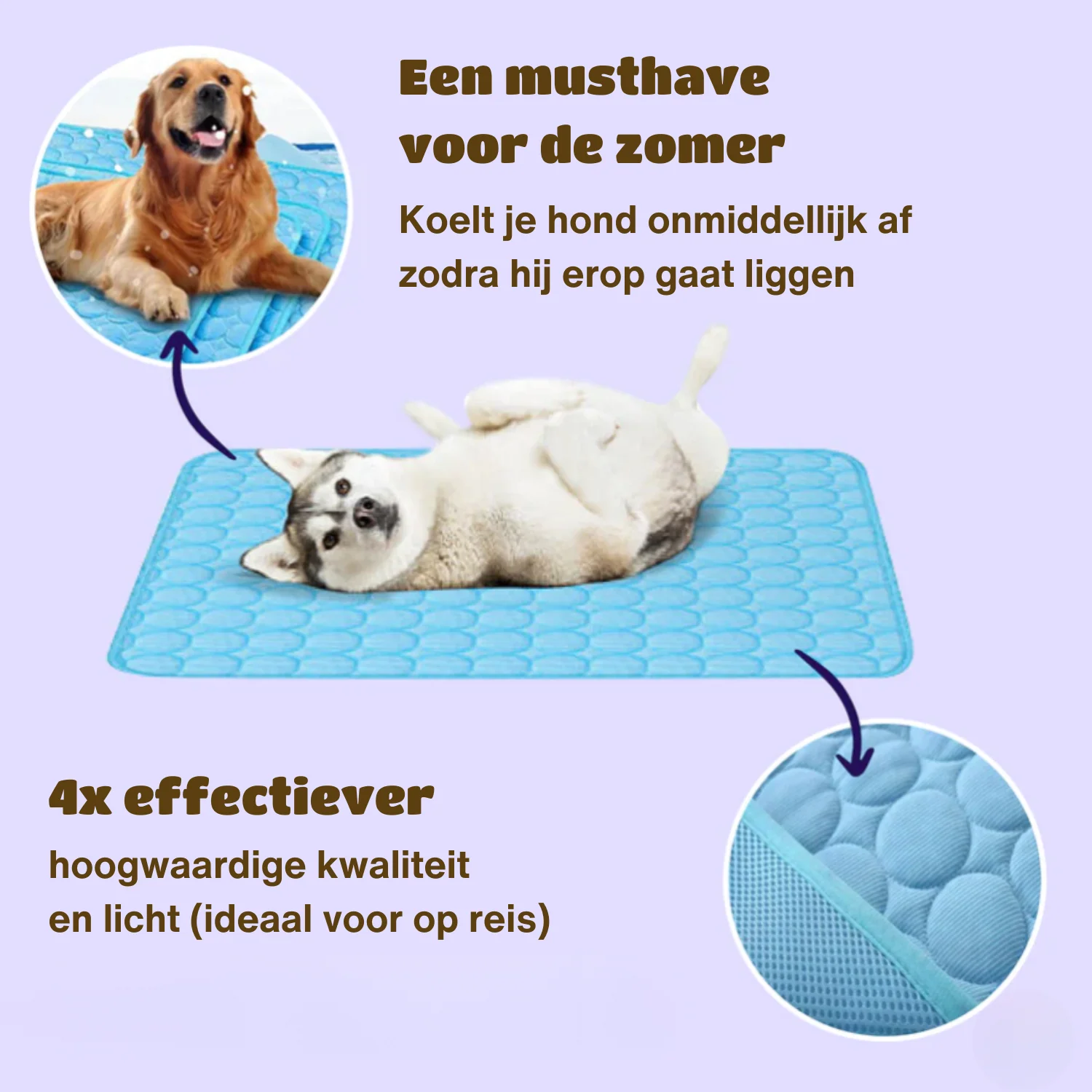 Honden Koelmat Innovatief Design - Image 10