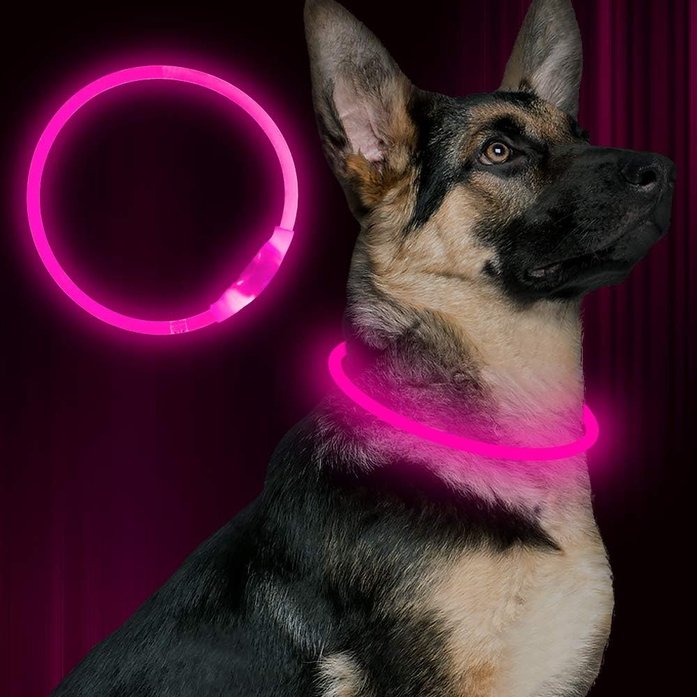 Honden LED-halsband Oplaadbaar Veiligheidslampje