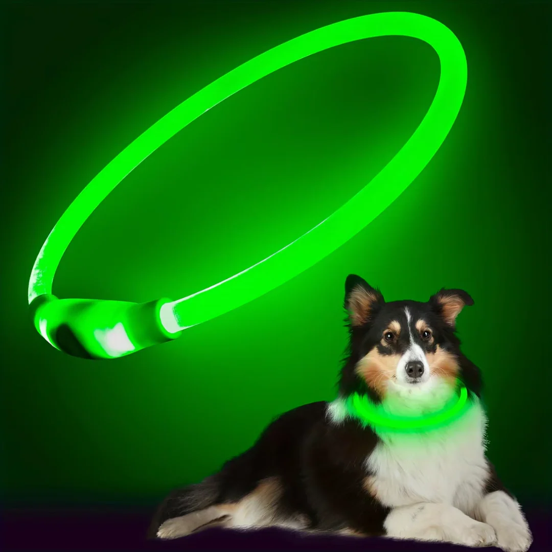 Honden LED-halsband Oplaadbaar Veiligheidslampje - Image 10