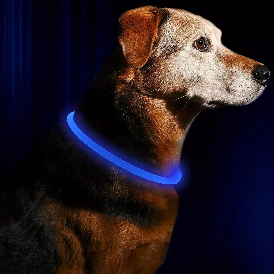 Honden LED-halsband Oplaadbaar Veiligheidslampje - Image 11