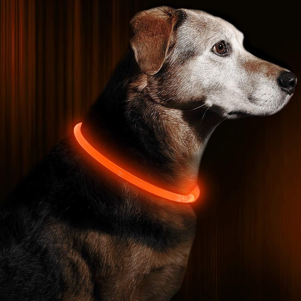 Honden LED-halsband Oplaadbaar Veiligheidslampje - Image 4