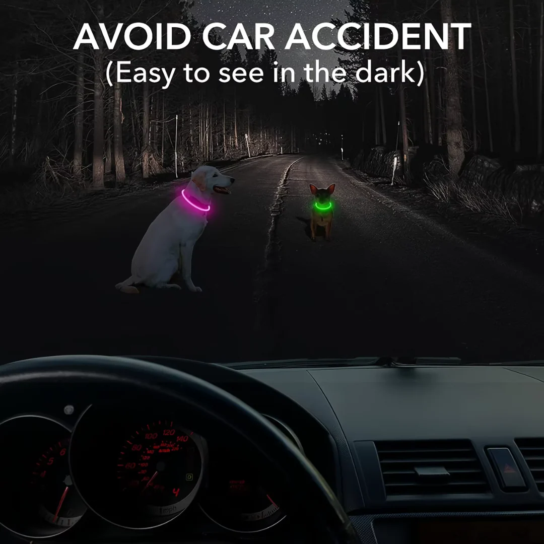 Honden LED-halsband Oplaadbaar Veiligheidslampje - Image 6