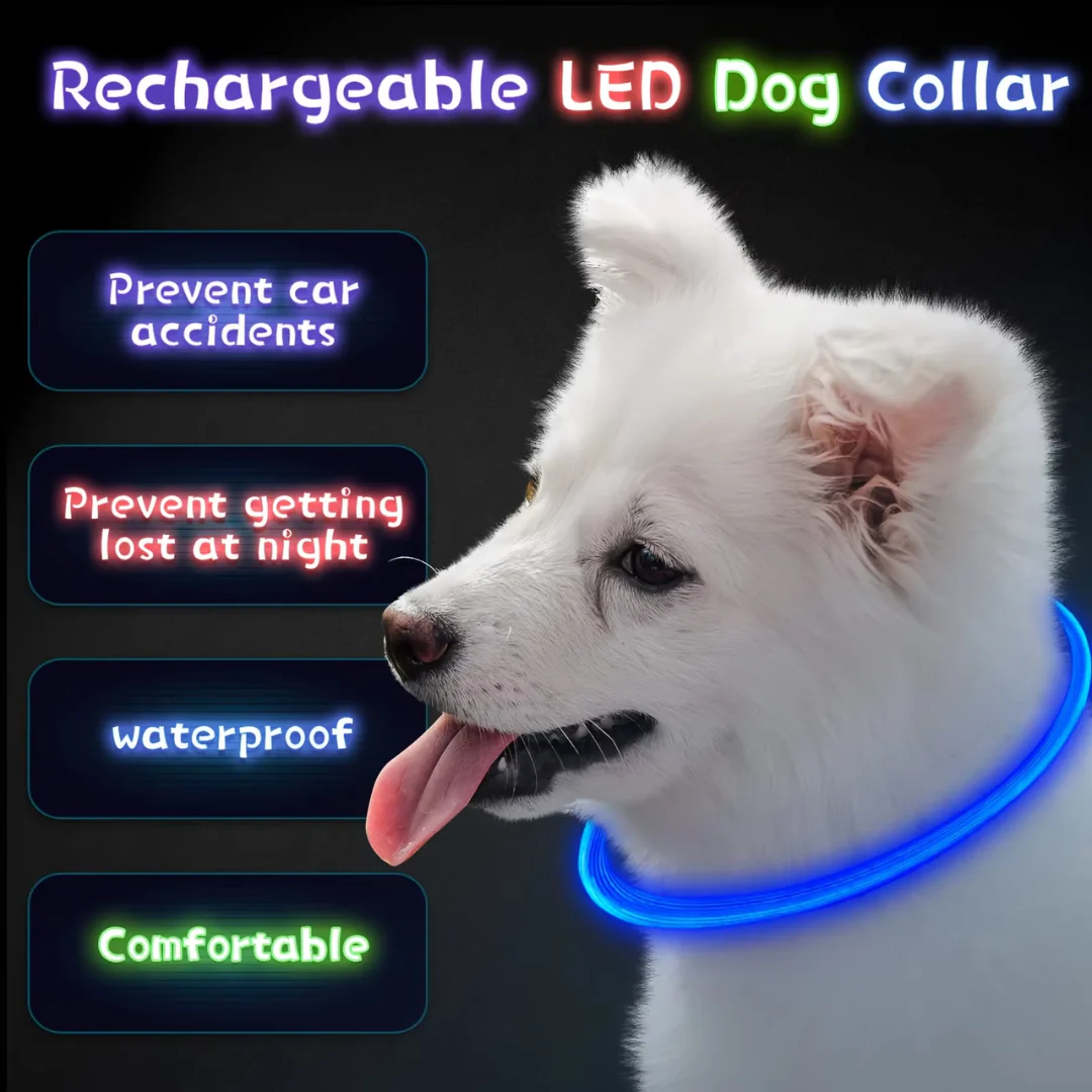 Honden LED-halsband Oplaadbaar Veiligheidslampje - Image 7