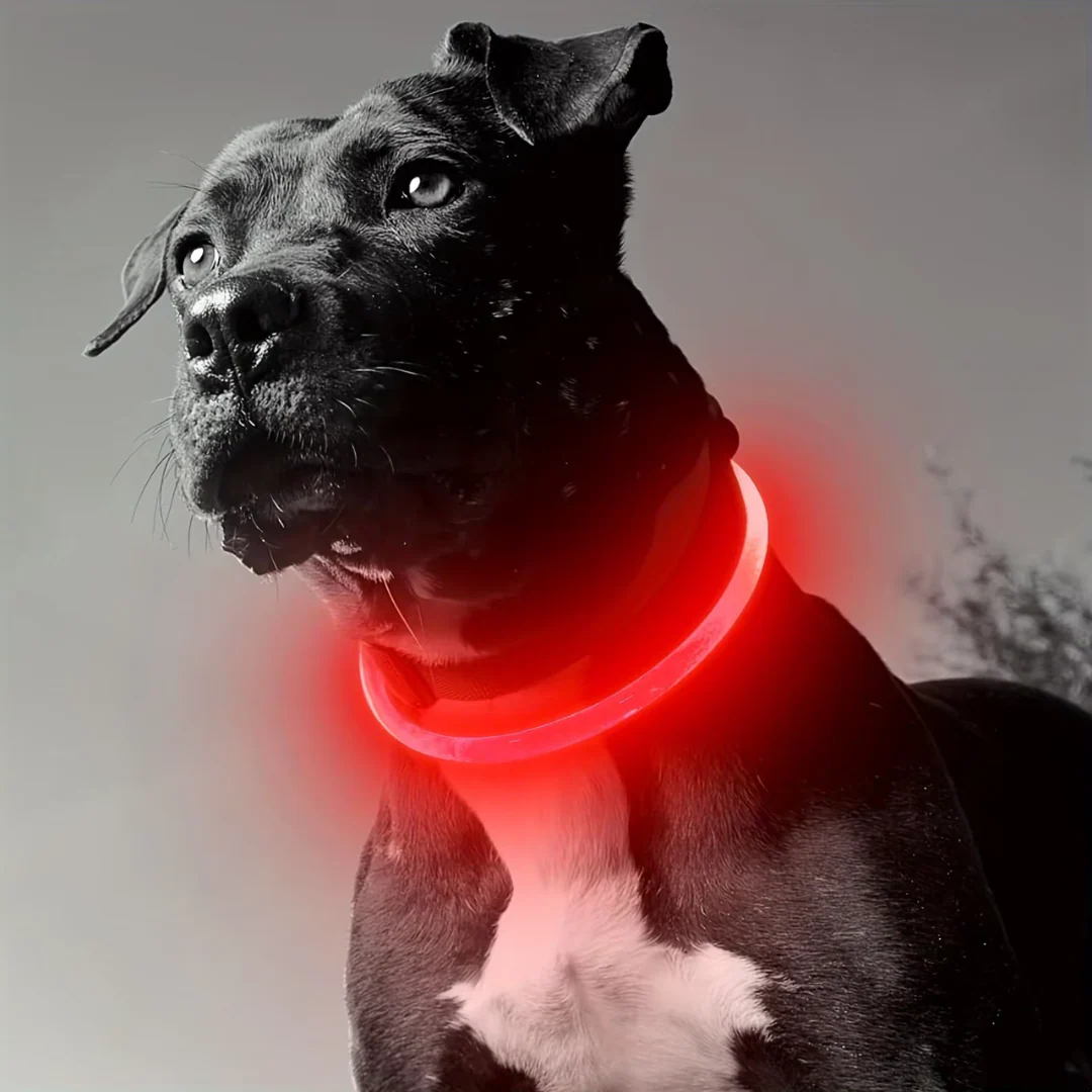 Honden LED-halsband Oplaadbaar Veiligheidslampje - Image 8
