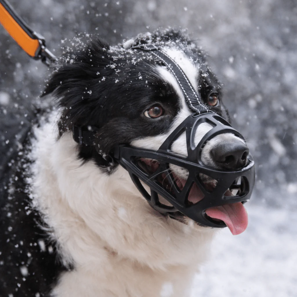 Honden Muilkorf Ademend en Lichtgewicht voor Comfortabele Controle - Image 2