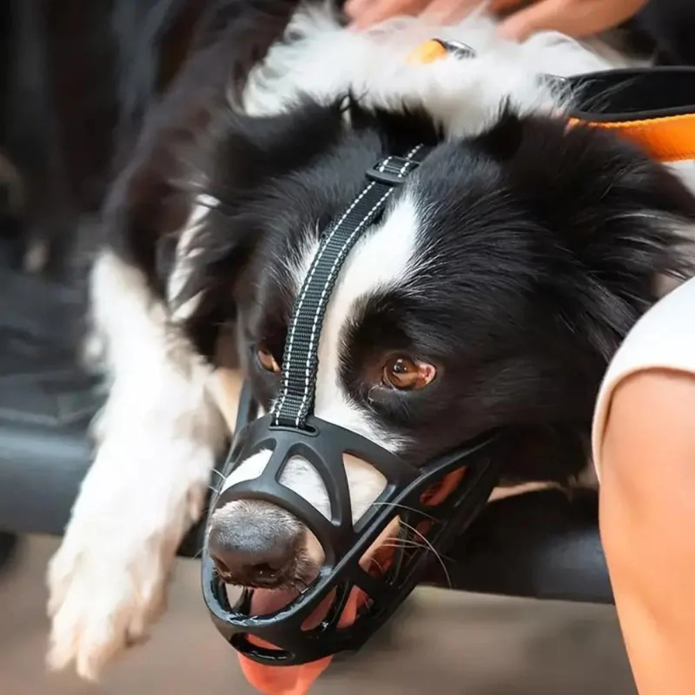 Honden Muilkorf Ademend en Lichtgewicht voor Comfortabele Controle - Image 3