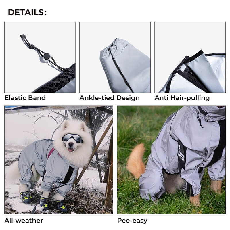 Honden Regenjas Reflecterend Waterdicht met Harnasopening - Image 5