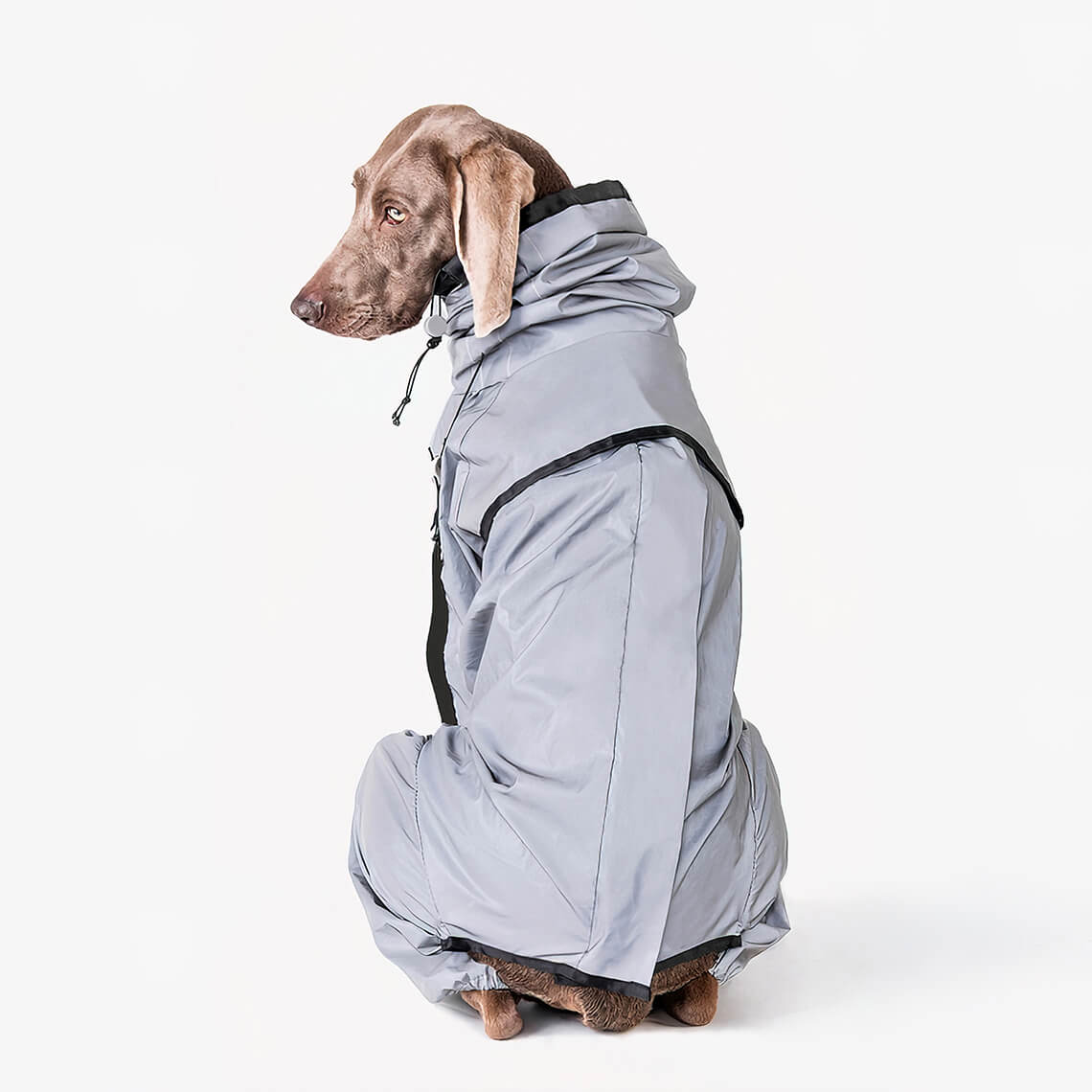 Honden Regenjas Reflecterend Waterdicht met Harnasopening - Image 8