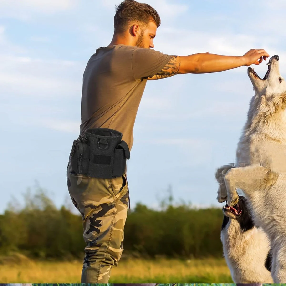 Honden Snackzakje Met Snelle Toegang - Image 3