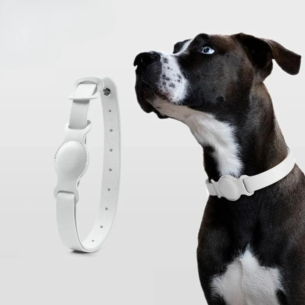 Hondenhalsband voor AirTag met Luxe Leer - Image 4