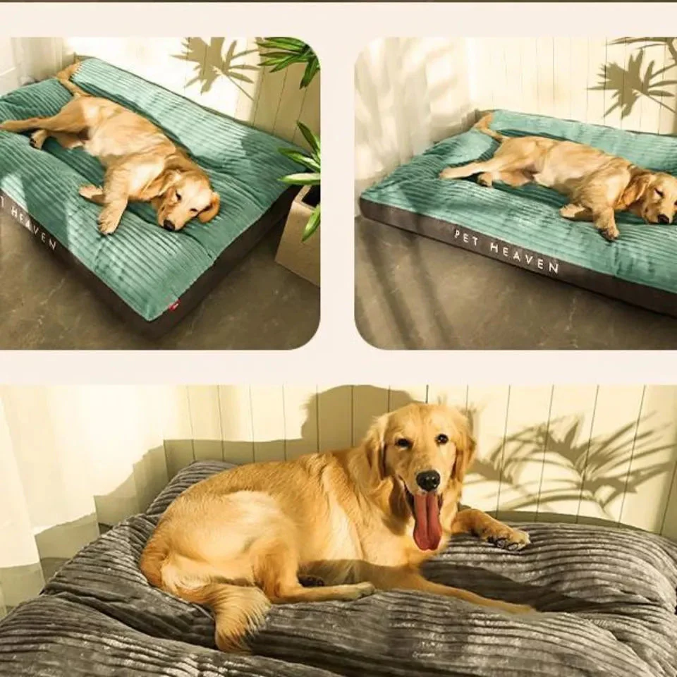 Hondenkussen met Afneembare Hoes voor Comfort en Ondersteuning - Image 3