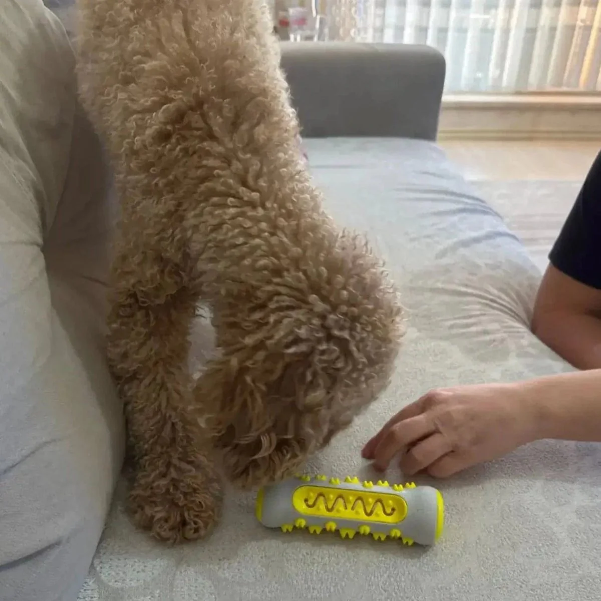 Hondenspeeltje voor Ontspanning en Comfort - Image 7