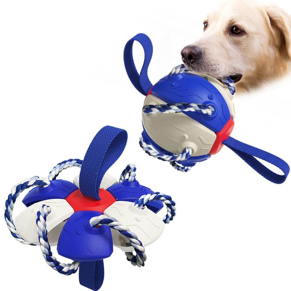 Interactieve frisbee bal hond speelgoed - Image 12