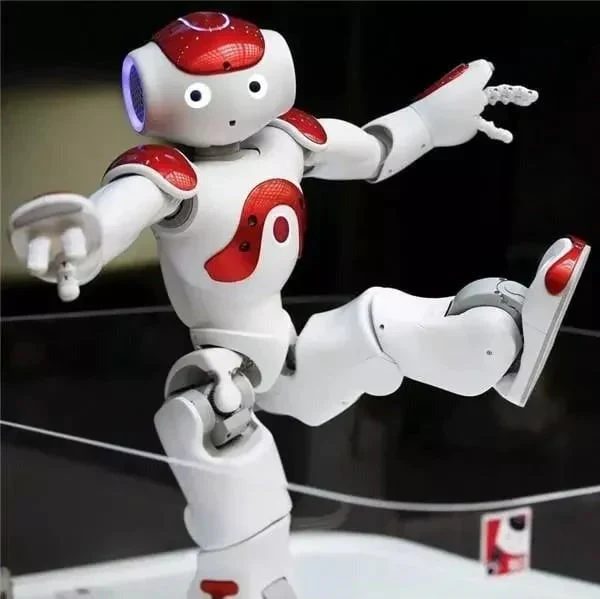 Interactieve Leerrobot voor Kinderen met Gebarencontrole - Image 10