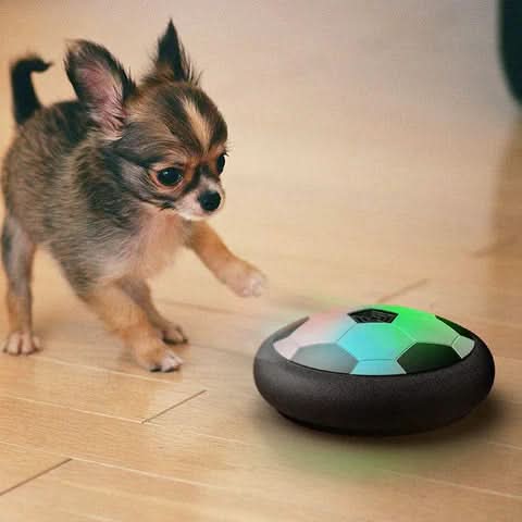 Interactieve Speelbal voor Honden met Onvoorspelbare Bewegingen - Image 5