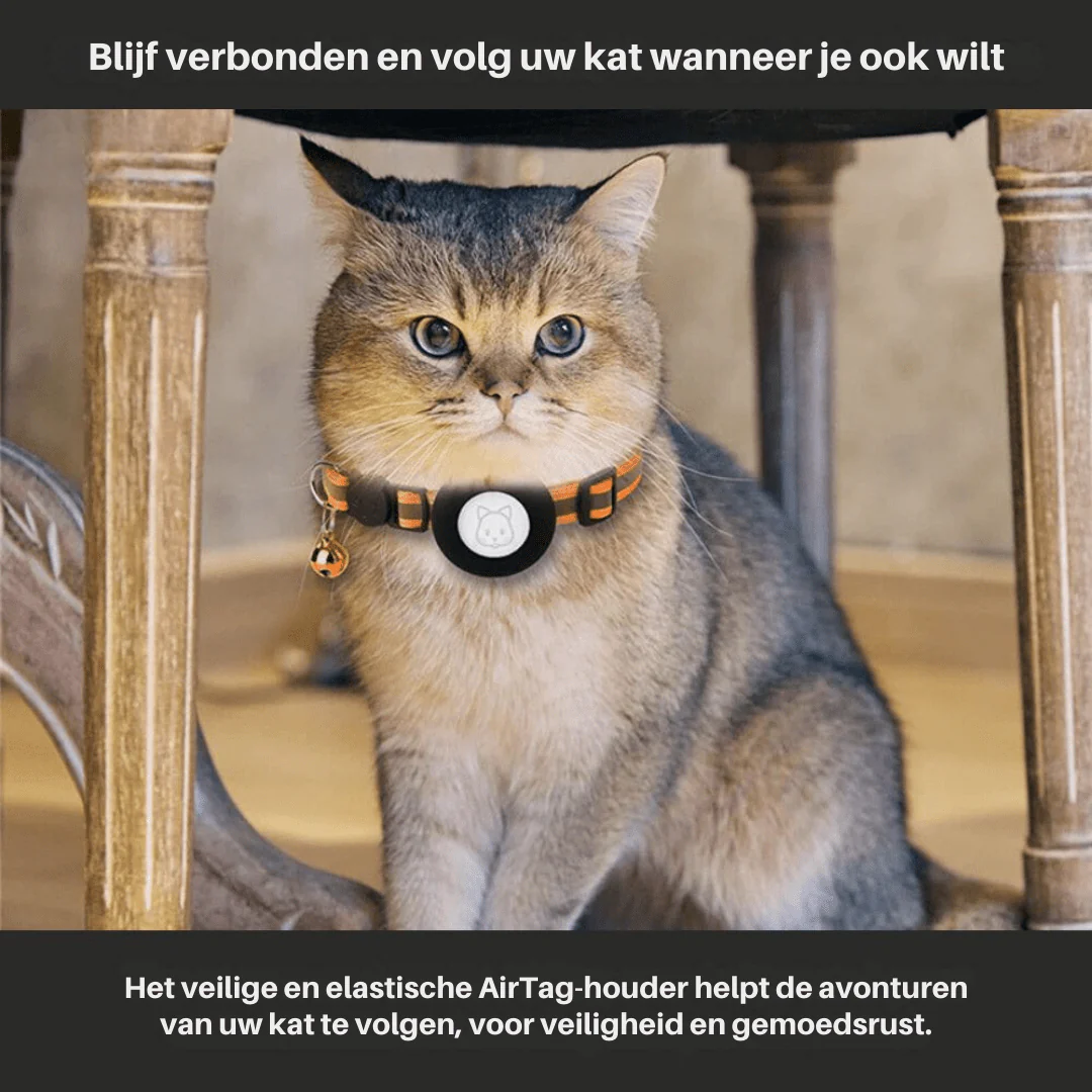 Katten GPS-trackerhalsband voor Veiligheid en Zichtbaarheid - Image 4