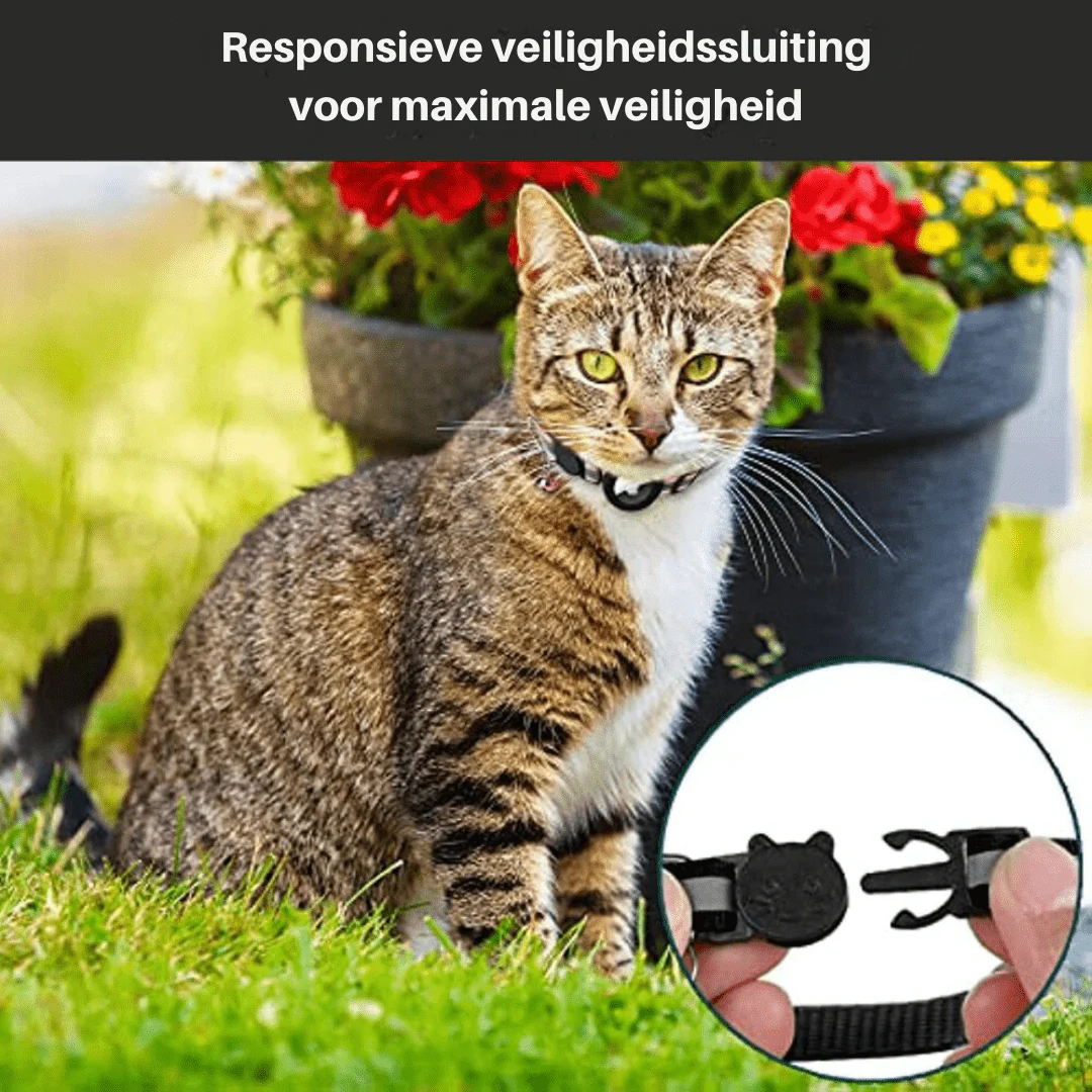 Katten GPS-trackerhalsband voor Veiligheid en Zichtbaarheid - Image 6