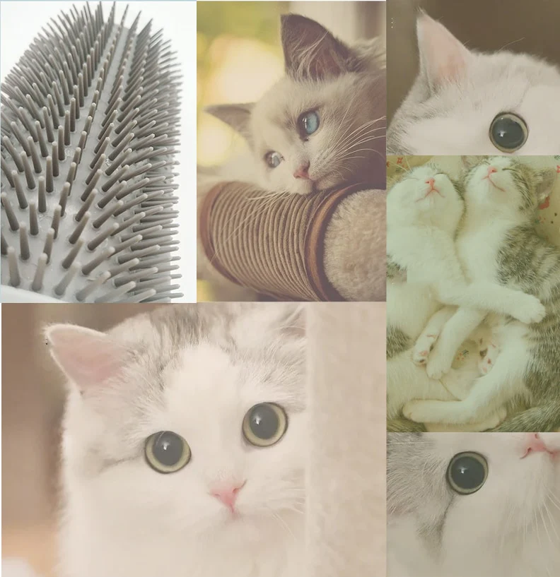 Kattenhoek Groomer - Image 10