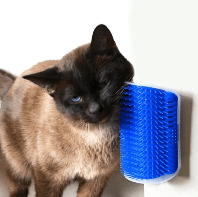 Kattenhoek Groomer - Image 7