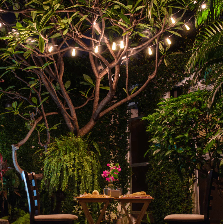 LED Buiten String Lights Op Zonne-energie - Image 5