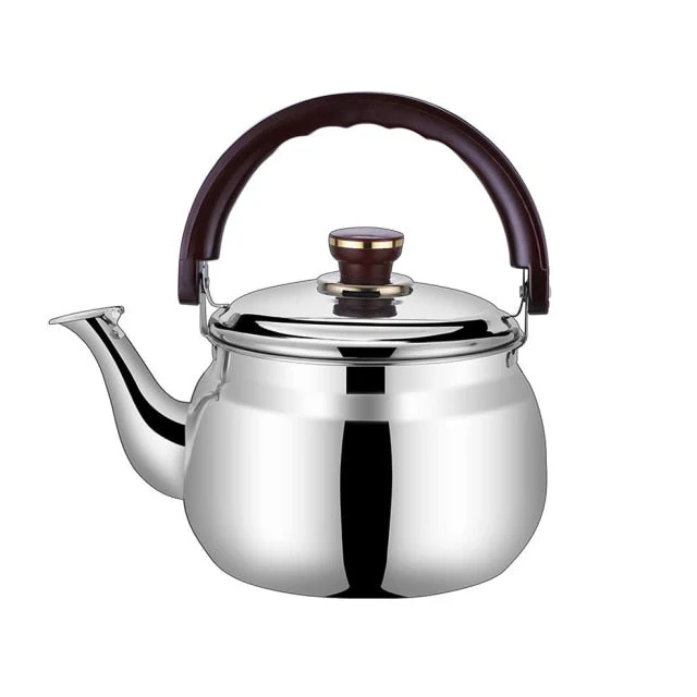 RVS Waterkoker Dikwandige Fluitpot