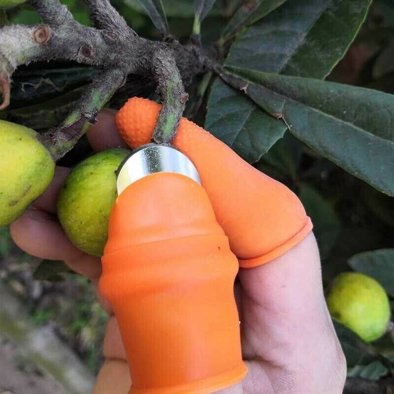 Miniatuur 2