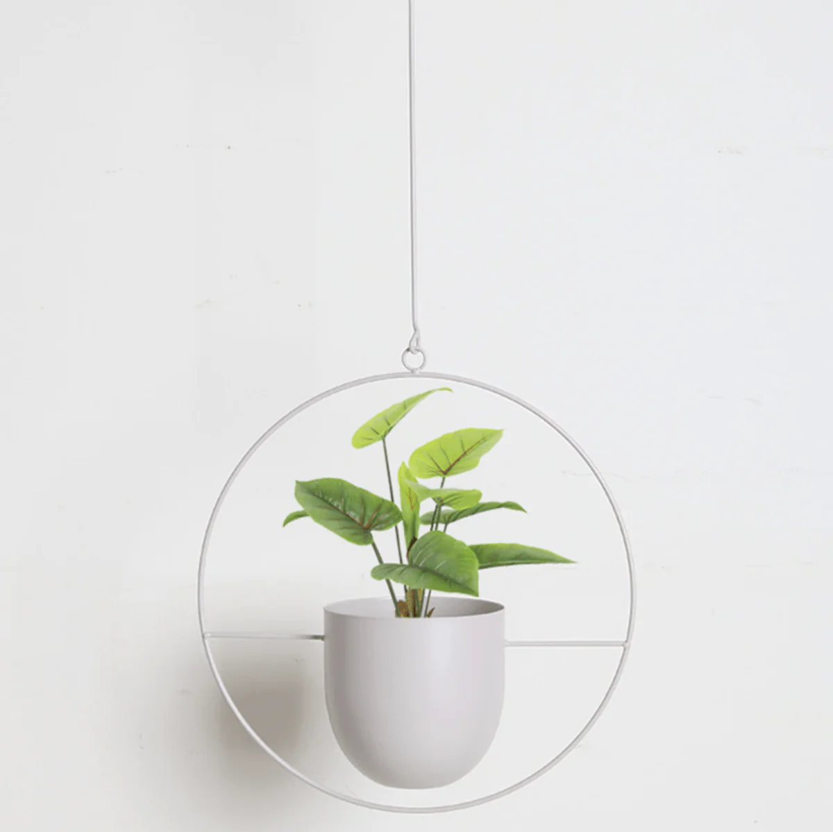 Wandplantenhanger Minimalistisch Met Verstelbare Ketting - Image 15