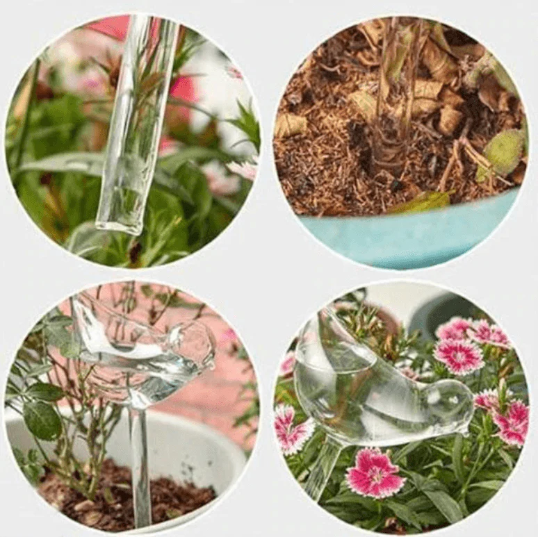 Zelf-drenkende Plantenbol - Image 12
